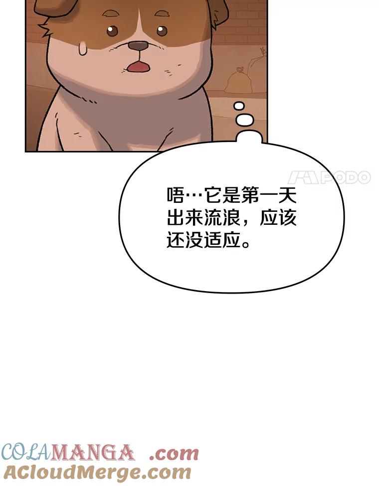 《彩虹桥守望者》25.流浪“狗”生 第55页