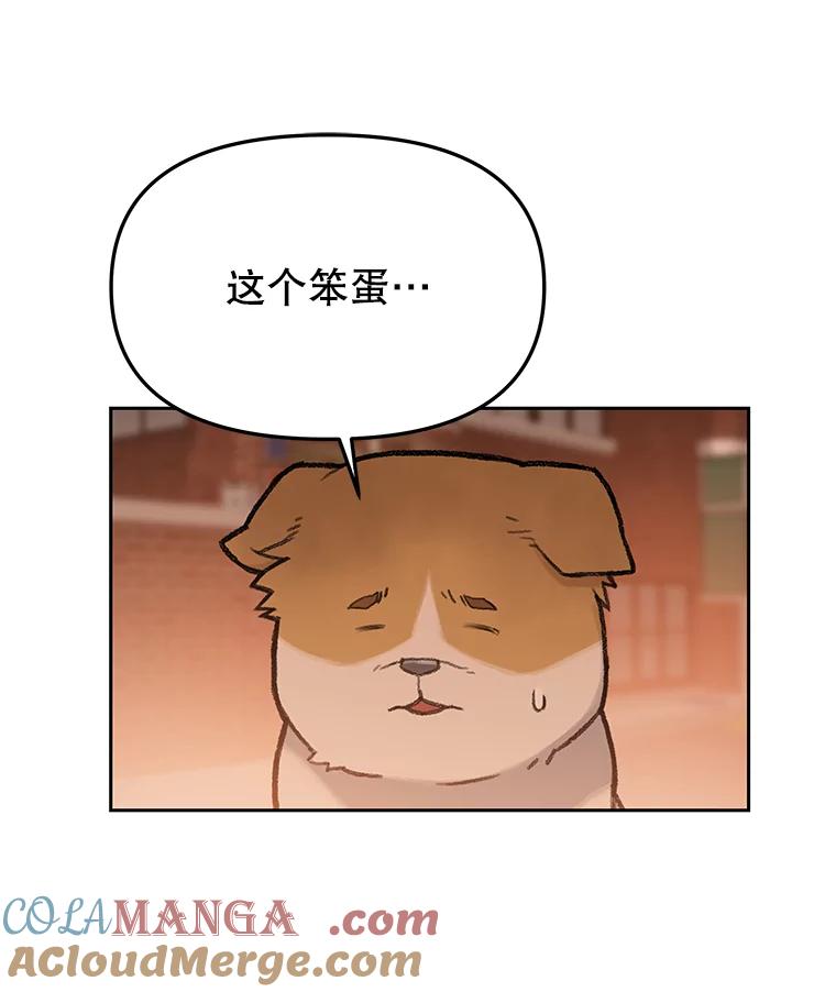 《彩虹桥守望者》25.流浪“狗”生 第25页