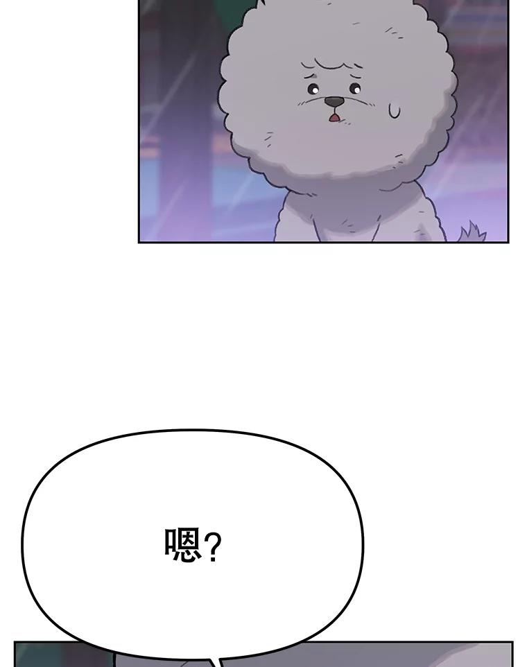 《彩虹桥守望者》25.流浪“狗”生 第83页