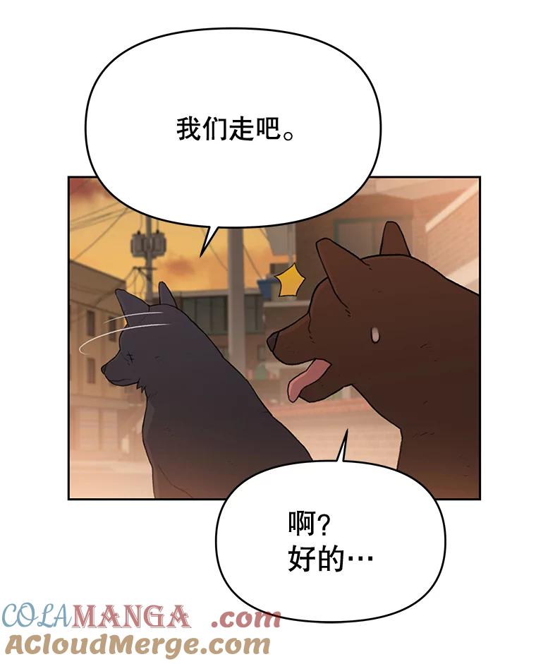 《彩虹桥守望者》25.流浪“狗”生 第40页