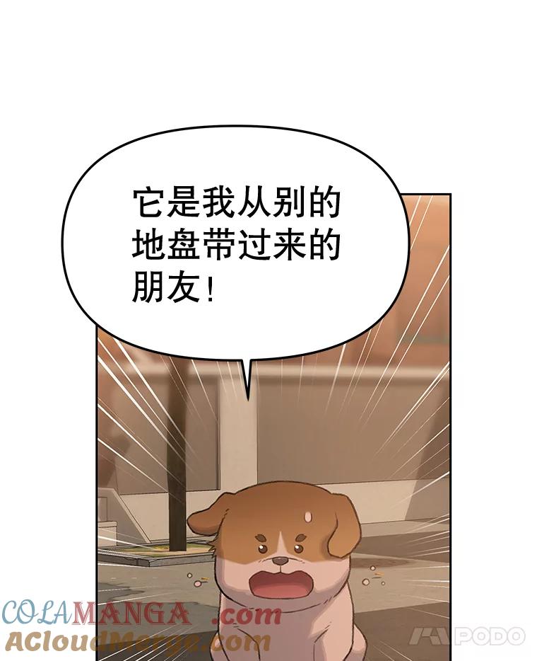 《彩虹桥守望者》25.流浪“狗”生 第37页