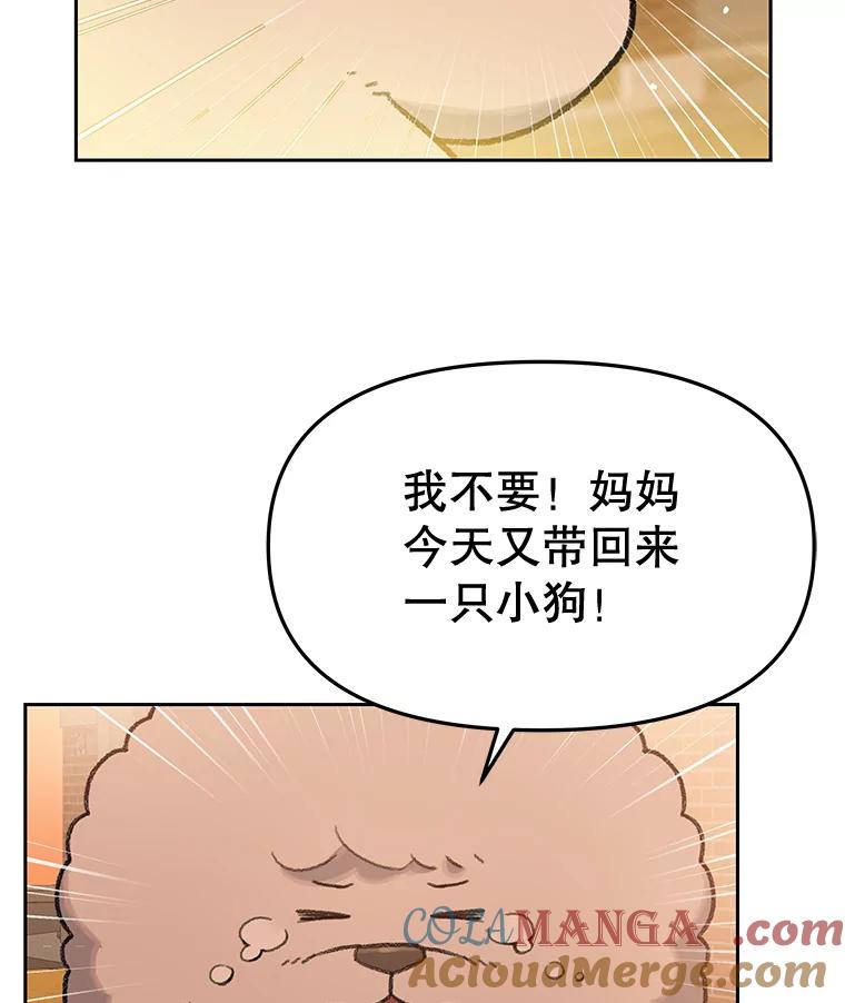 《彩虹桥守望者》25.流浪“狗”生 第13页