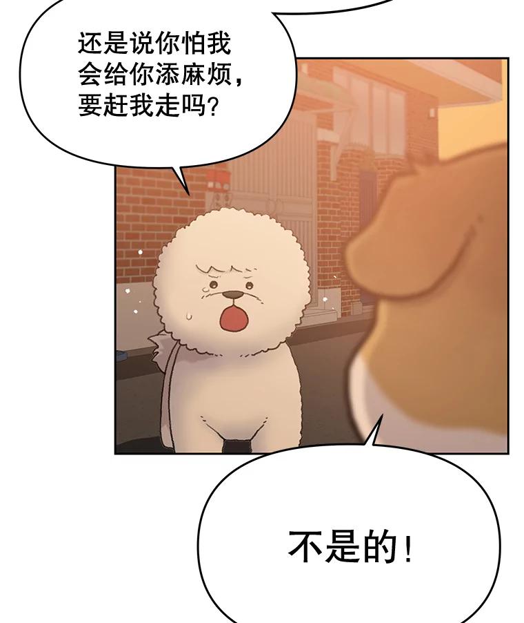 《彩虹桥守望者》25.流浪“狗”生 第15页