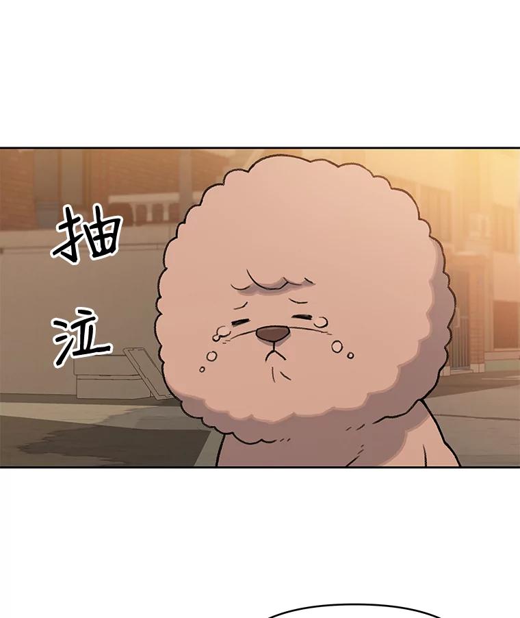 《彩虹桥守望者》25.流浪“狗”生 第42页