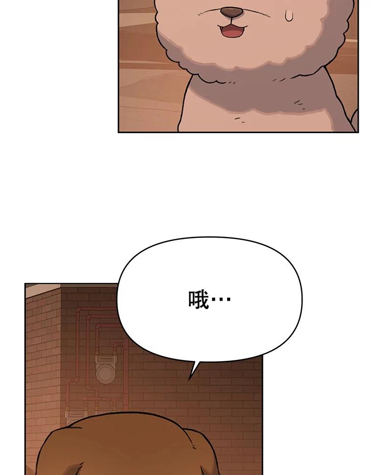 《彩虹桥守望者》25.流浪“狗”生 第54页