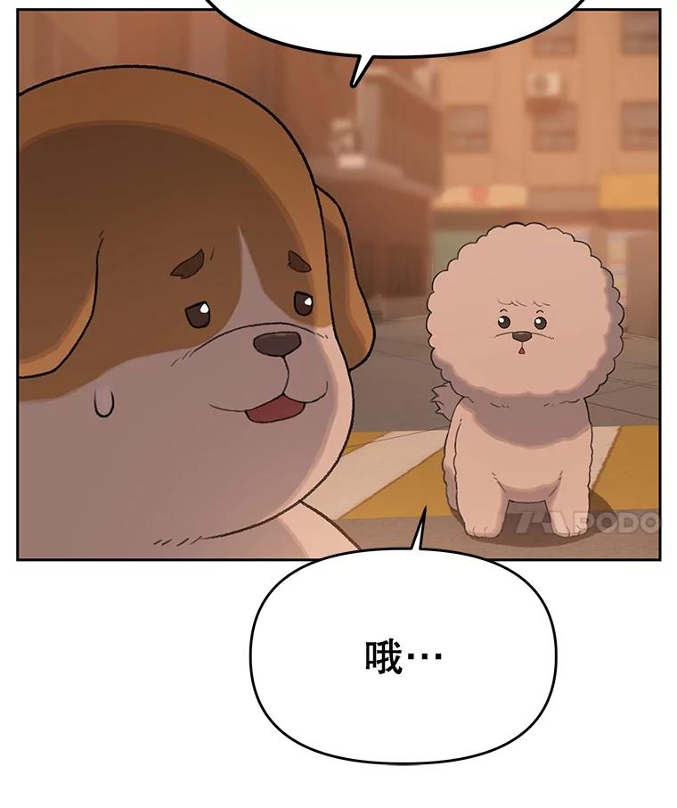 《彩虹桥守望者》25.流浪“狗”生 第48页