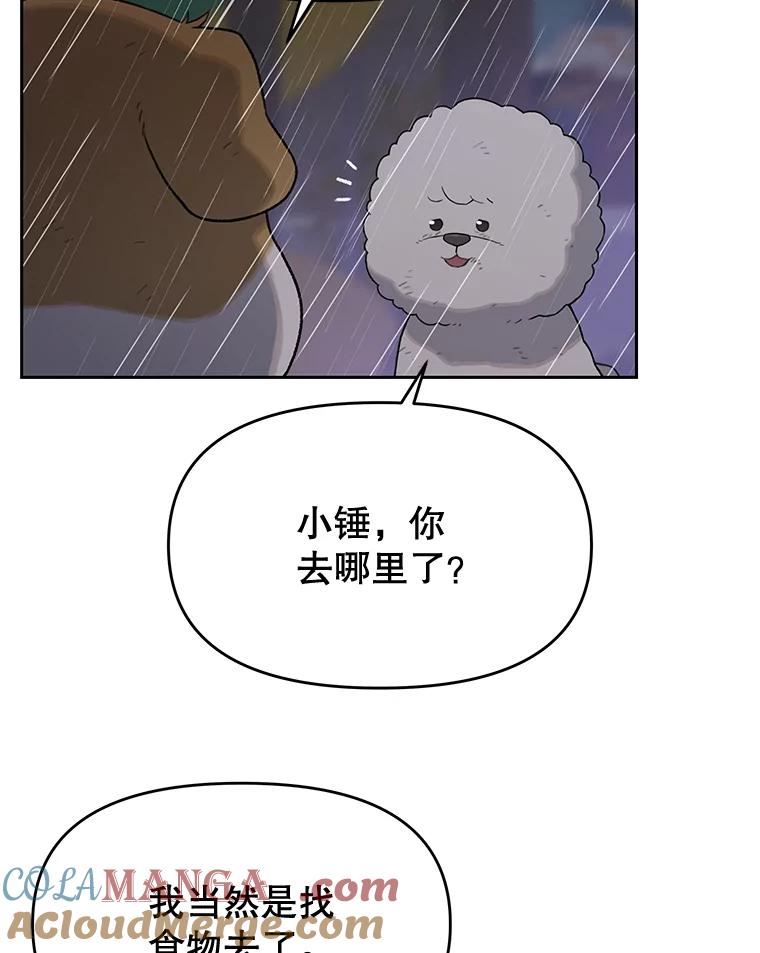 《彩虹桥守望者》25.流浪“狗”生 第73页