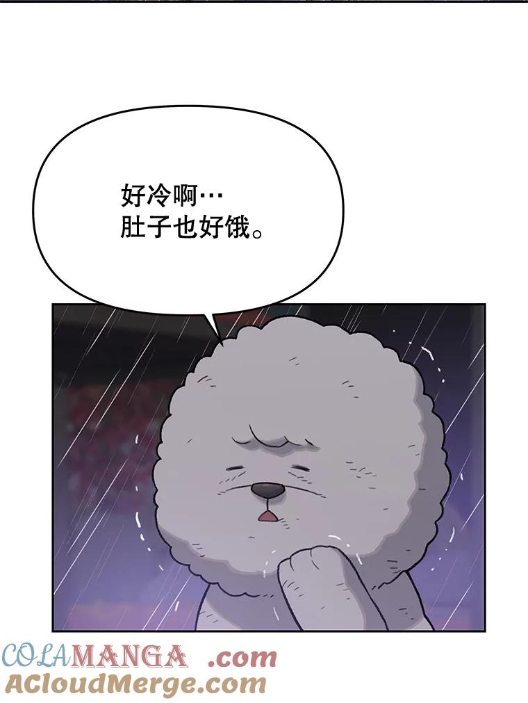 《彩虹桥守望者》25.流浪“狗”生 第70页