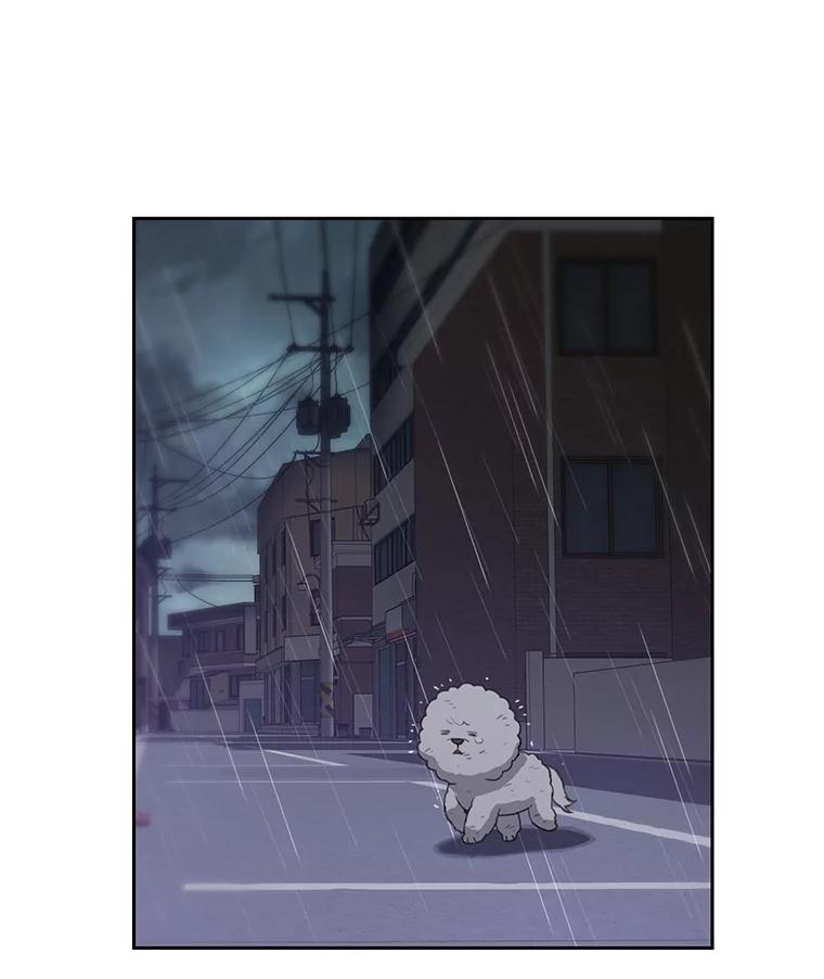 《彩虹桥守望者》26.重逢 第69页
