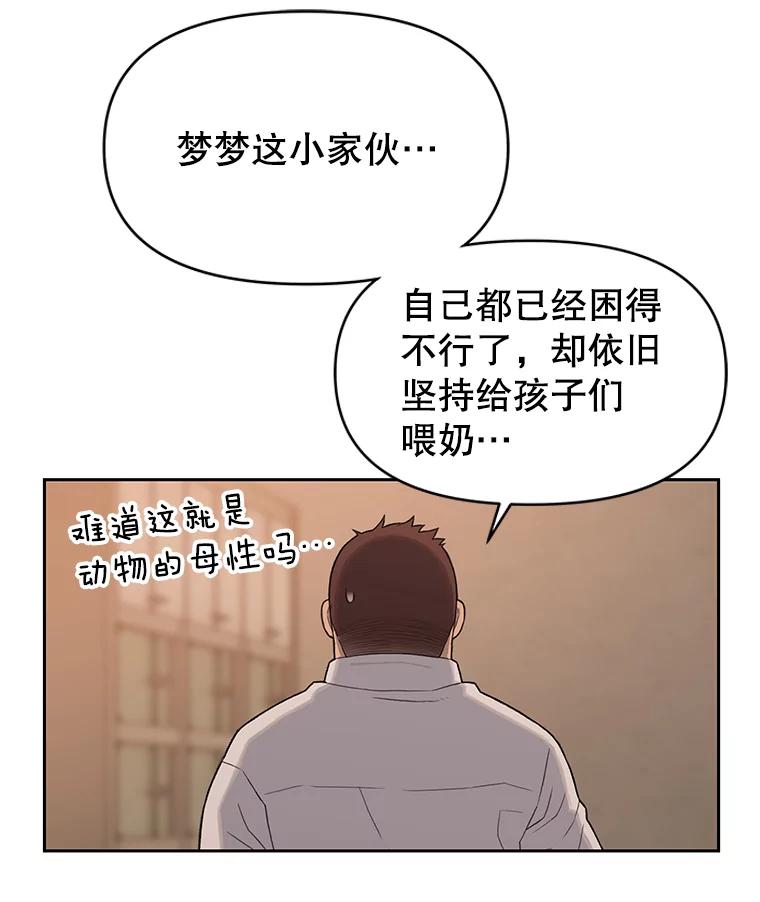 《彩虹桥守望者》26.重逢 第32页