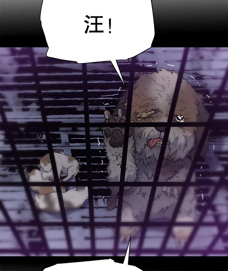 《彩虹桥守望者》26.重逢 第35页