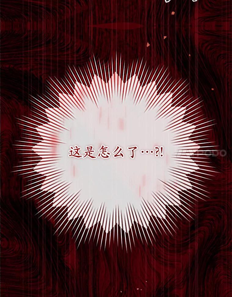 《从今天起，公爵府由我接管》6.初试魔法 第114页