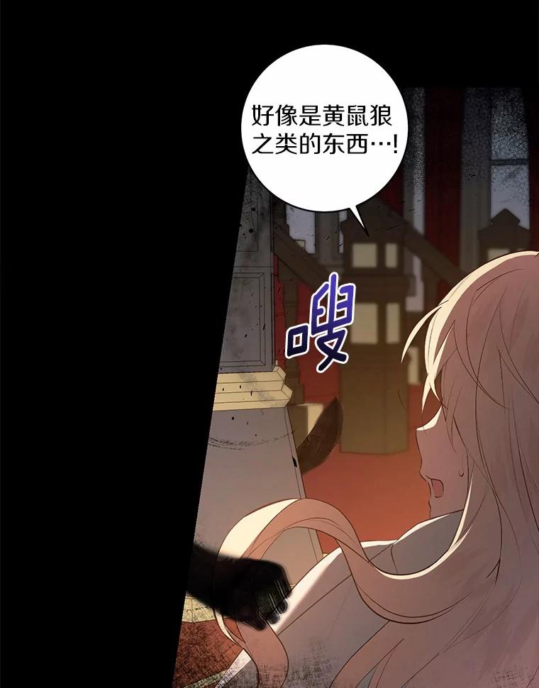 《从今天起，公爵府由我接管》7.勇闯夜宅 第72页