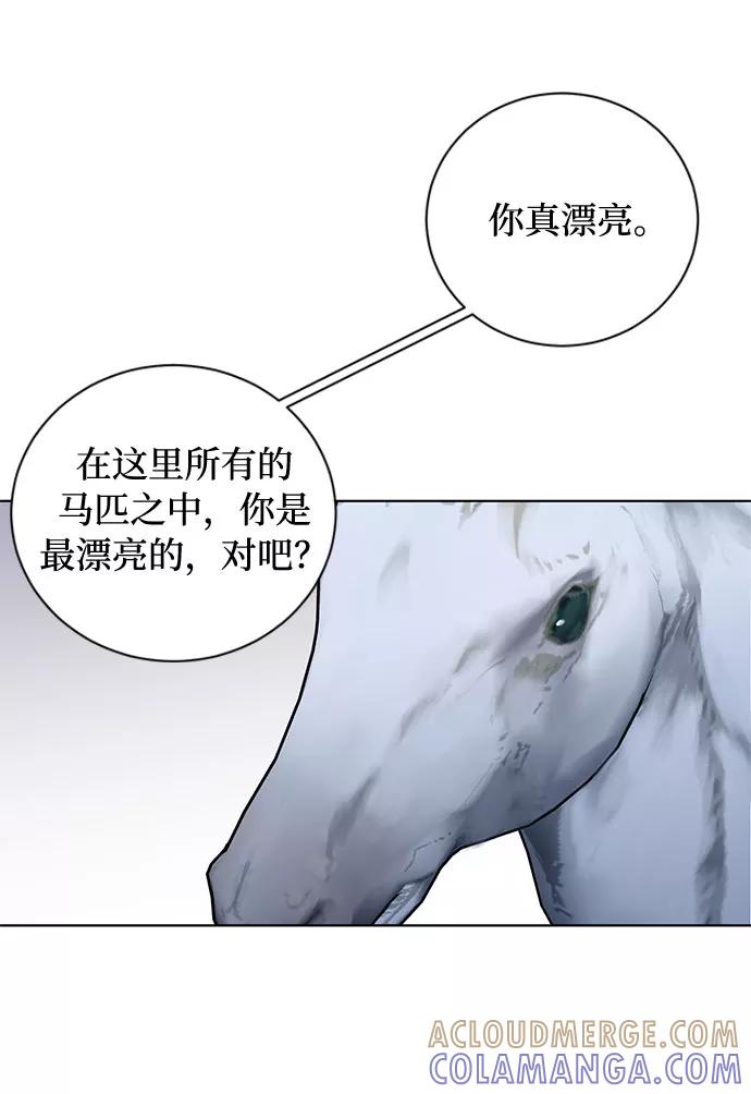 《双重间谍》第21话 不可以爱上那个人 第19页