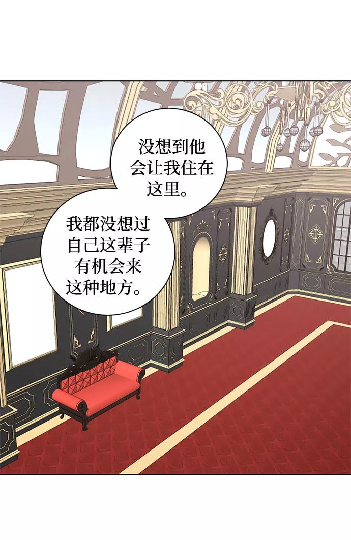 《双重间谍》第41话 如果这是命运的指引（1） 第11页