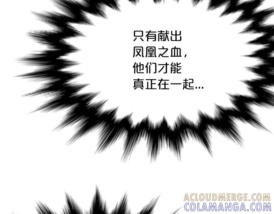 《凤凰血》第25话 耀眼 第209页