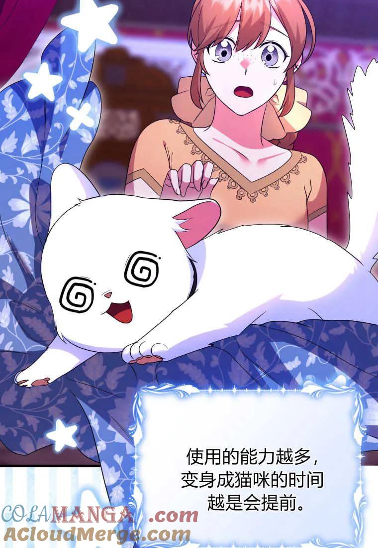 成为苏尔坦珍爱的猫咪 第38话 第29页