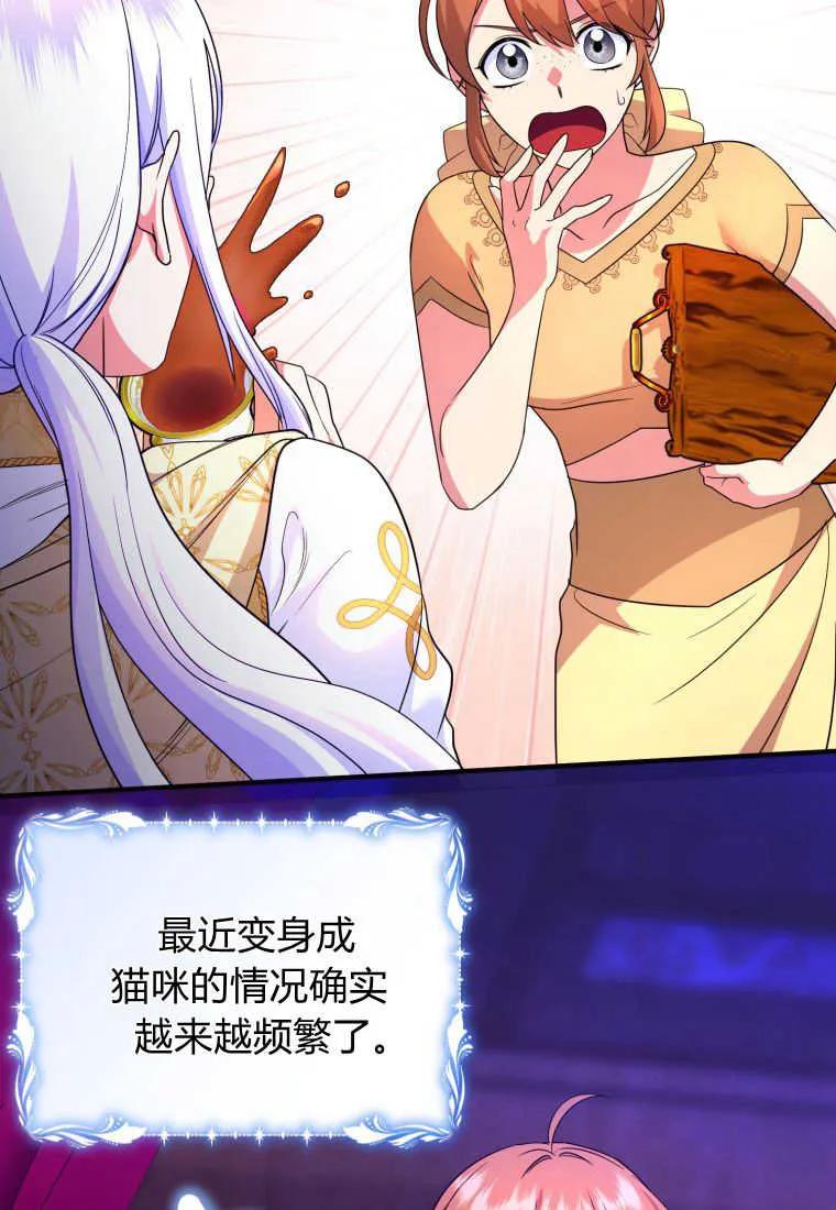 成为苏尔坦珍爱的猫咪 第38话 第28页