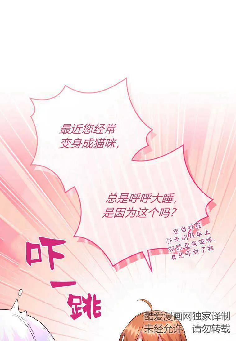 成为苏尔坦珍爱的猫咪 第38话 第27页