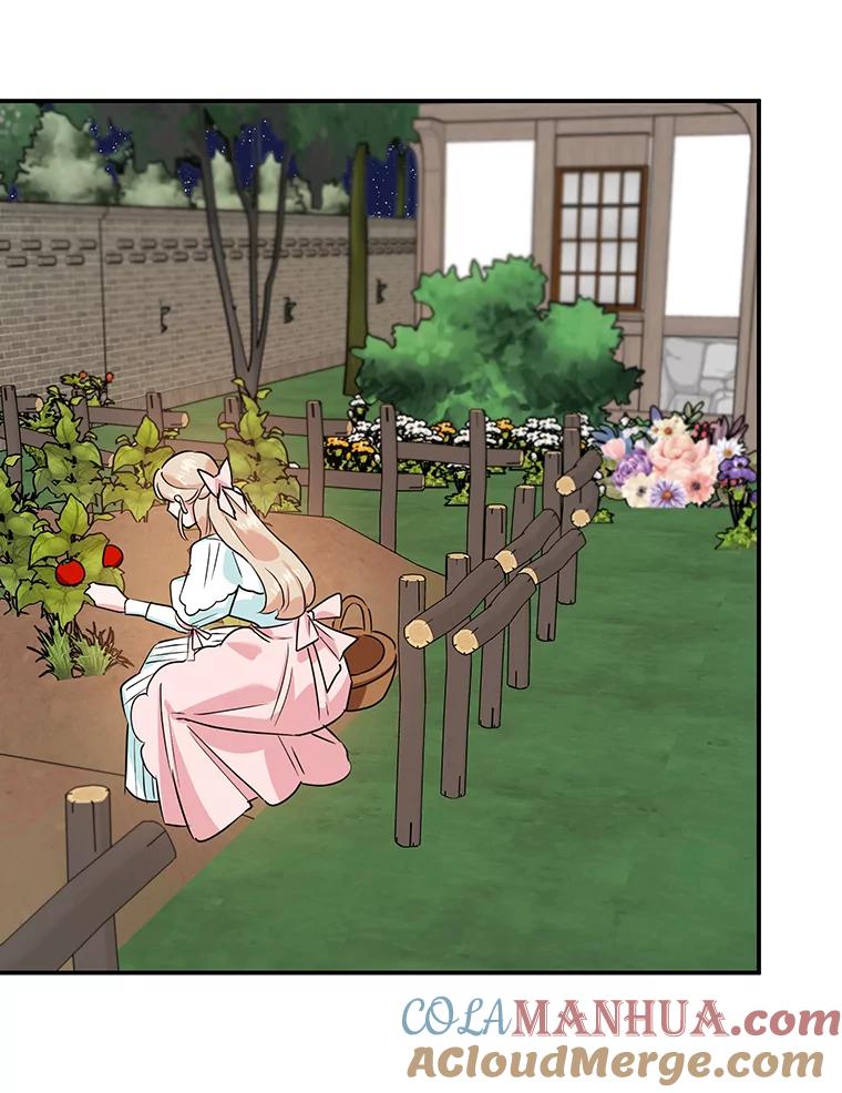 离婚后恶女专注烤蛋糕 - 9.被隐藏的真相 - 第77张图