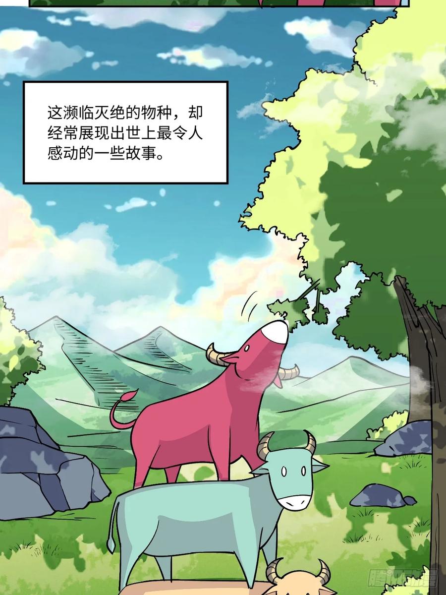 《原来我是修仙大佬》第190话 第6页