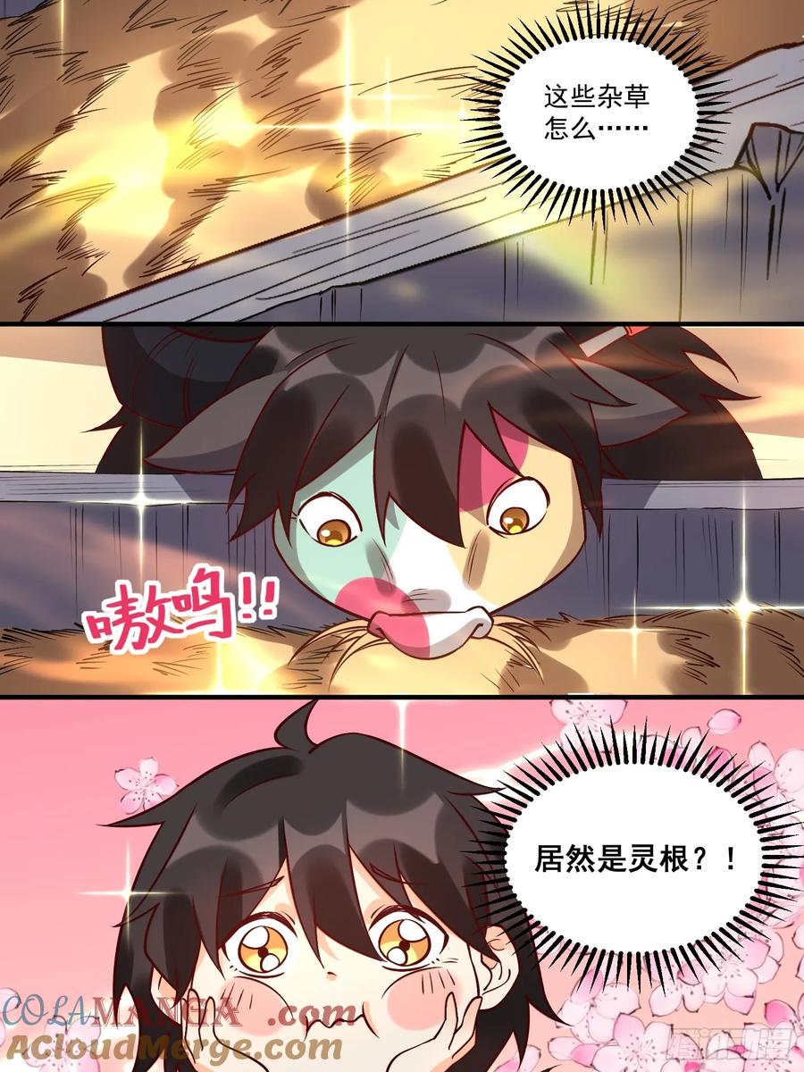 《原来我是修仙大佬》第218话 第11页