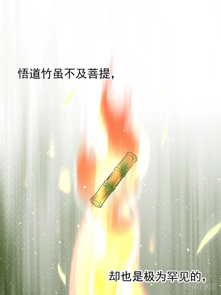 《原来我是修仙大佬》第30话 第12页