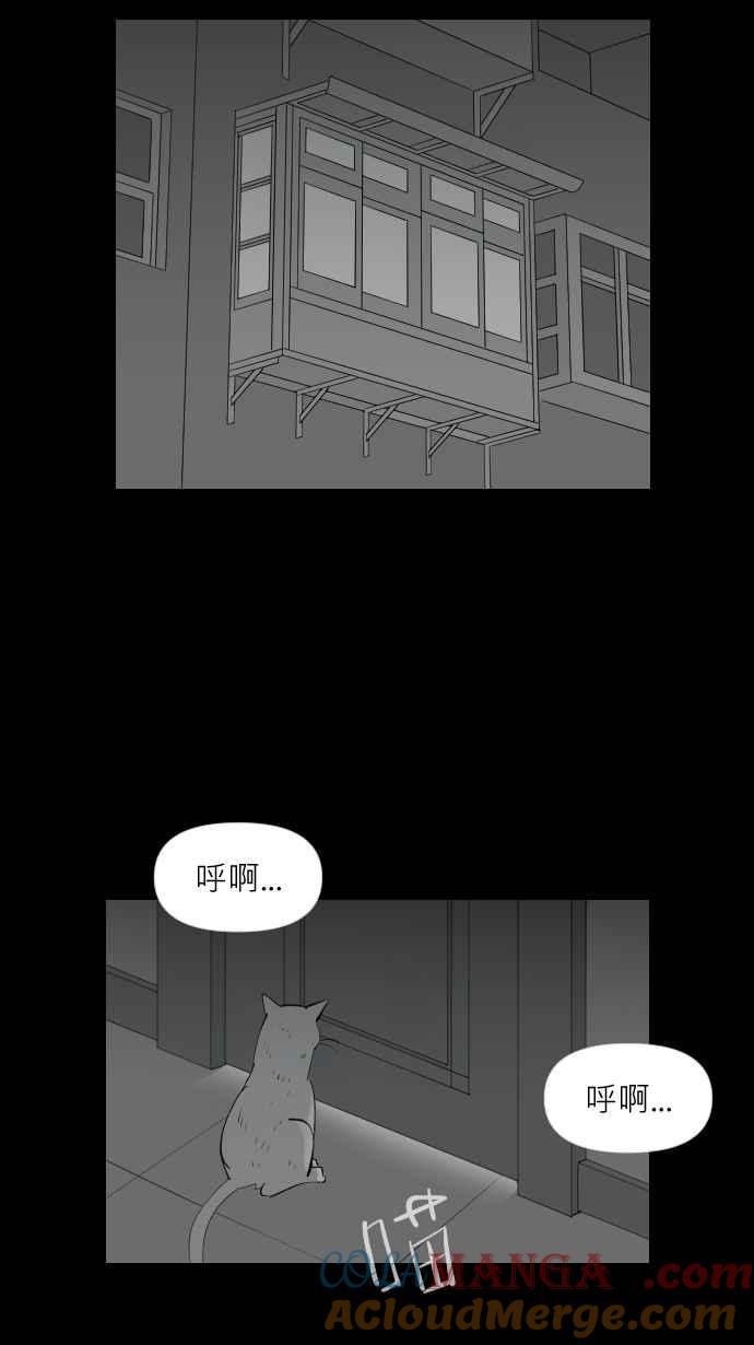 黑盒子 [第320话] 亡牌(1) 第15页