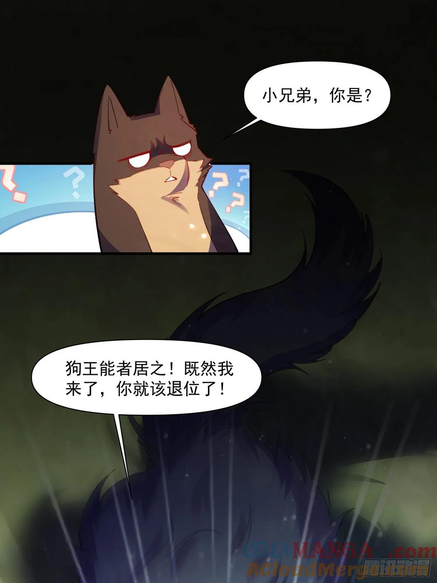 《原来我是修仙大佬》第348话 348话 第34页