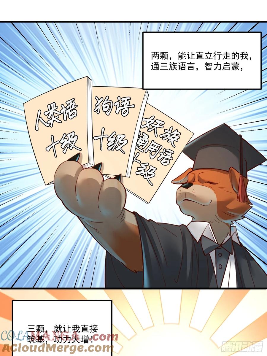 《原来我是修仙大佬》第351话 351话 第35页