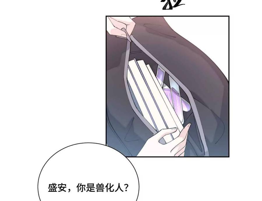《白天被逃婚晚上被奶凶指挥官求抱》35 狐狸？狼？还是狗狗？ 第41页