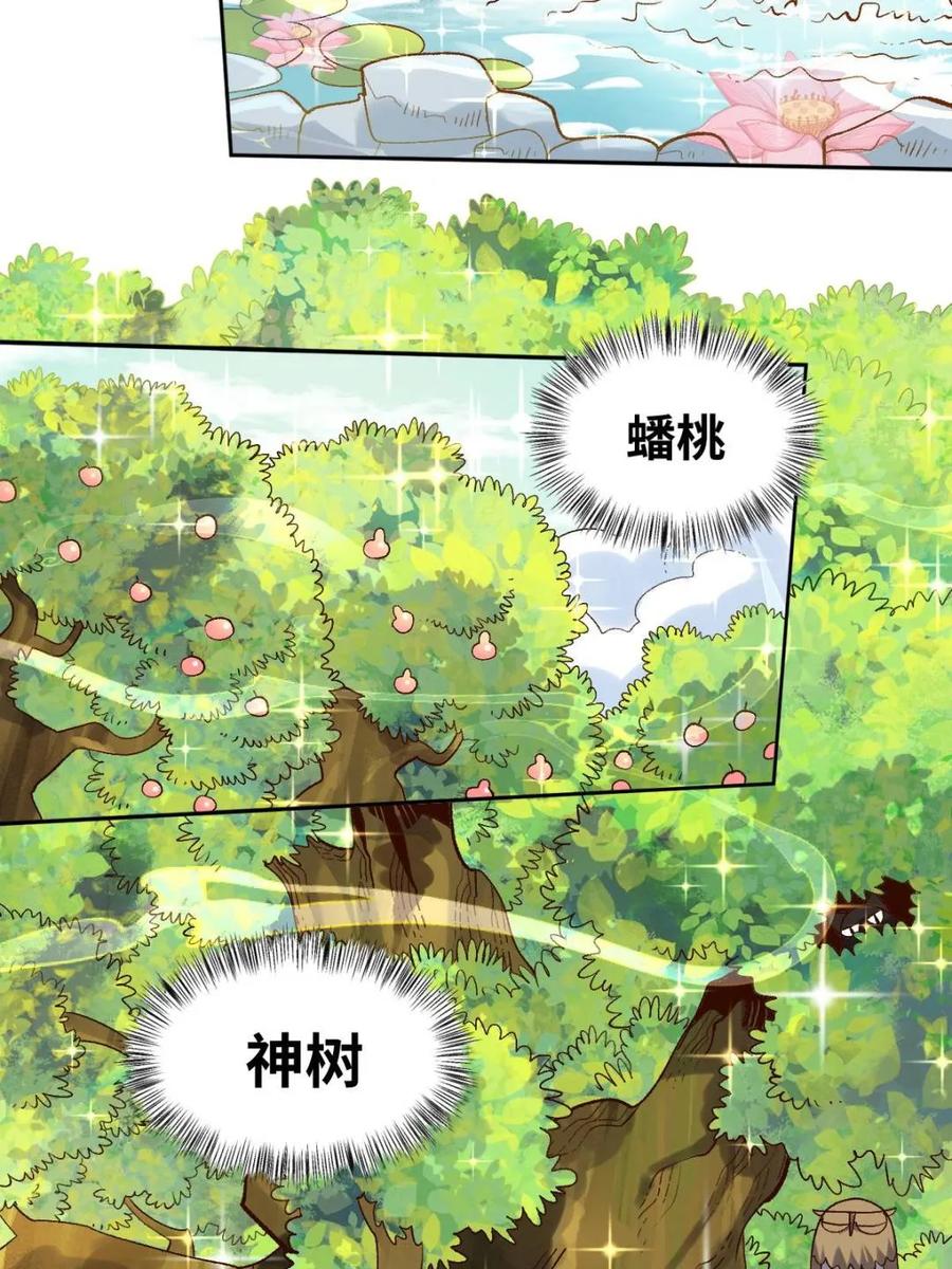 《原来我是修仙大佬》第374话 374话 第29页