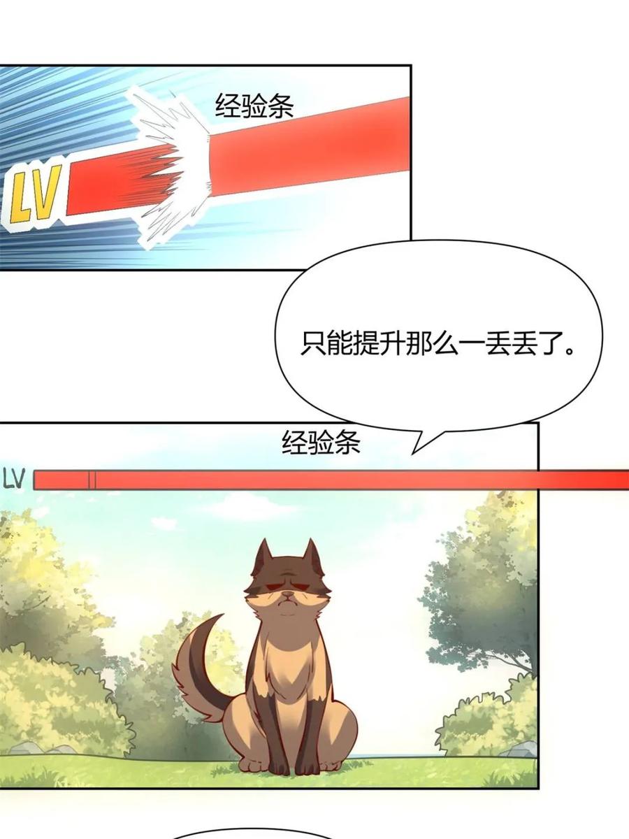 《原来我是修仙大佬》第385话 385话 第42页