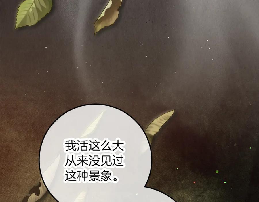 不幸的骑士，请和姐姐恋爱吧 - 第59话 预见未来的灾难 - 第242张图