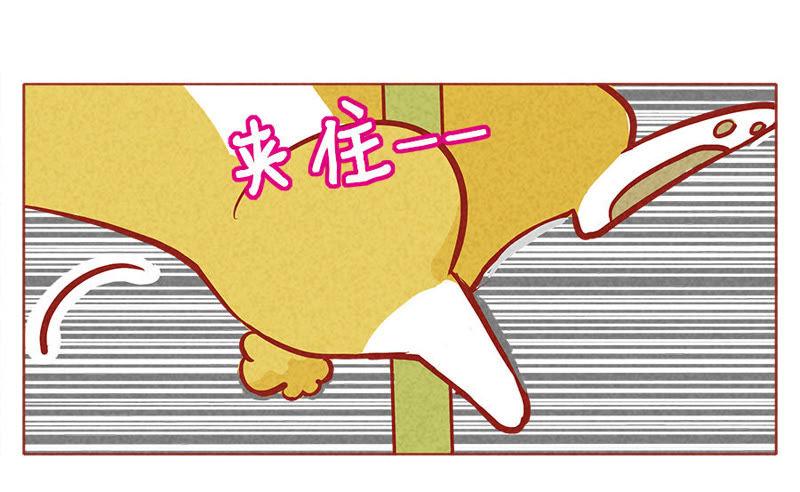 《妹妹？女儿？吸血鬼？》我是文明狼 第12页
