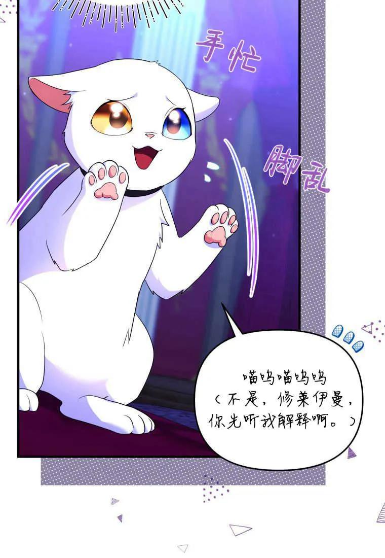 成为苏尔坦珍爱的猫咪 第34话 第64页