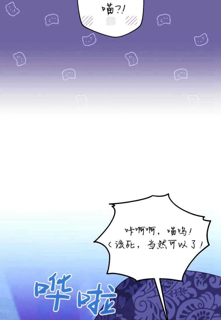 成为苏尔坦珍爱的猫咪 第34话 第68页