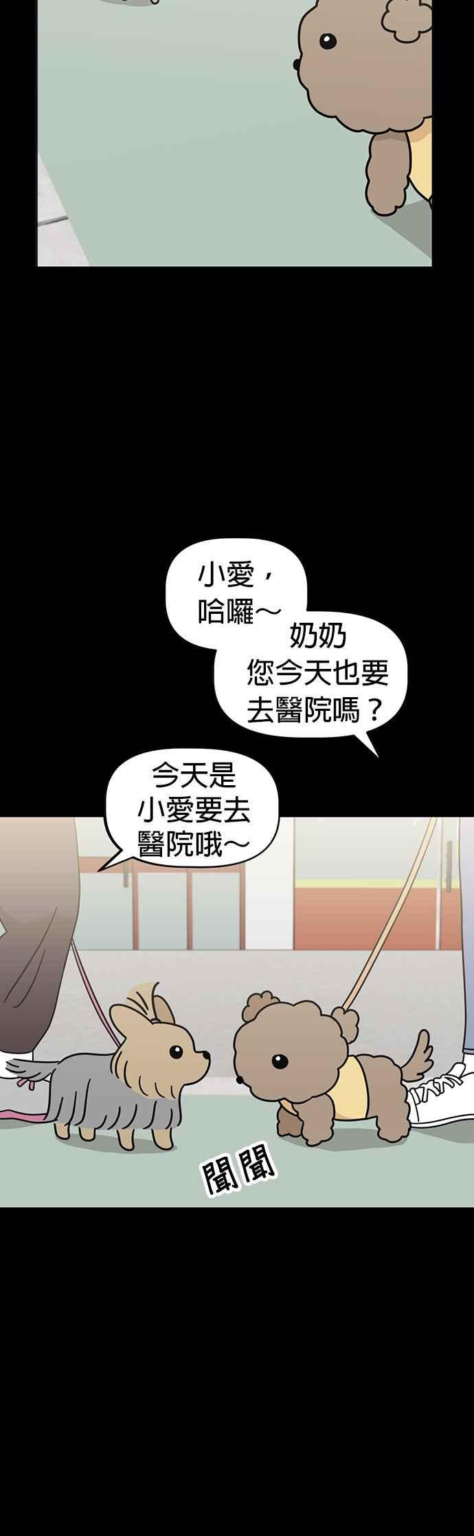 我家妹妹是狗狗 第44话 生日快乐～ 第40页