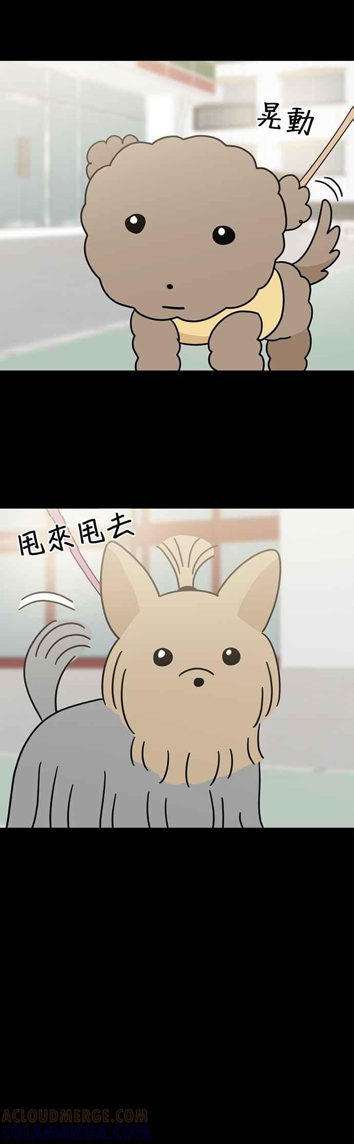 我家妹妹是狗狗 第44话 生日快乐～ 第41页