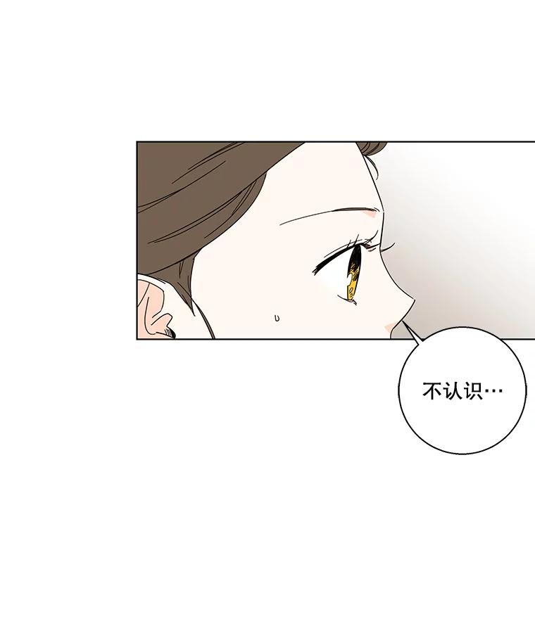 《追逐光的爱恋》45.家人与朋友 第27页