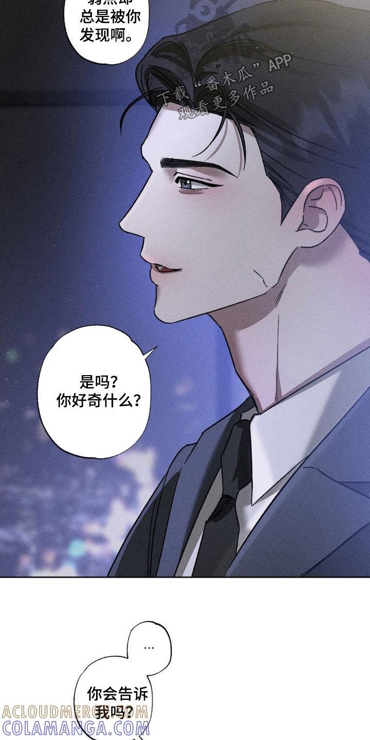 《特写爱意》第47章：酒量不行 第13页