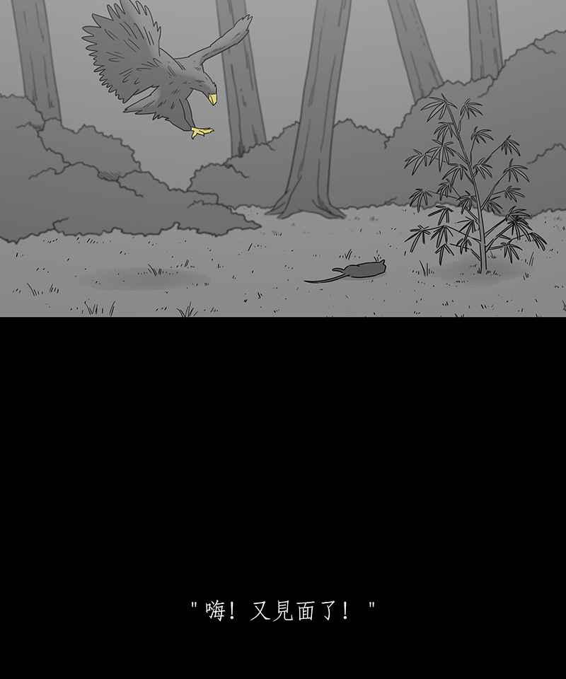 黑盒子 [第204话] 孤芳(1) 第34页