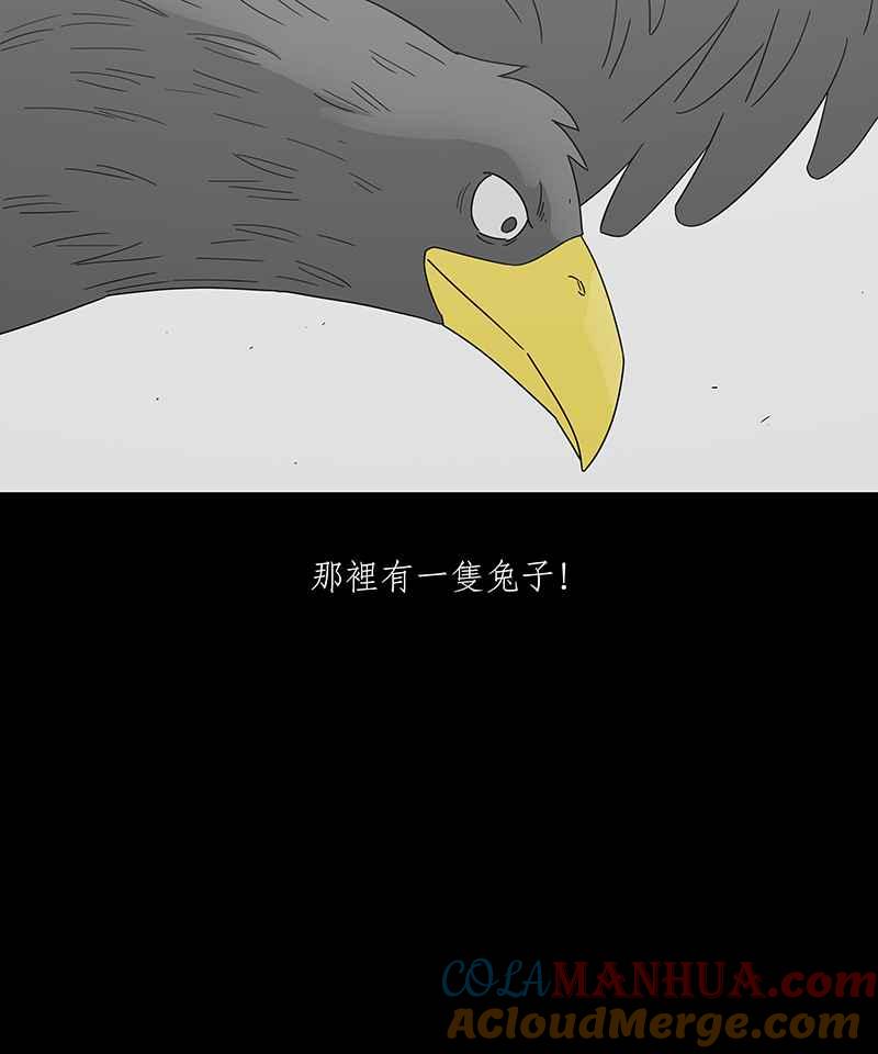 黑盒子 [第204话] 孤芳(1) 第13页