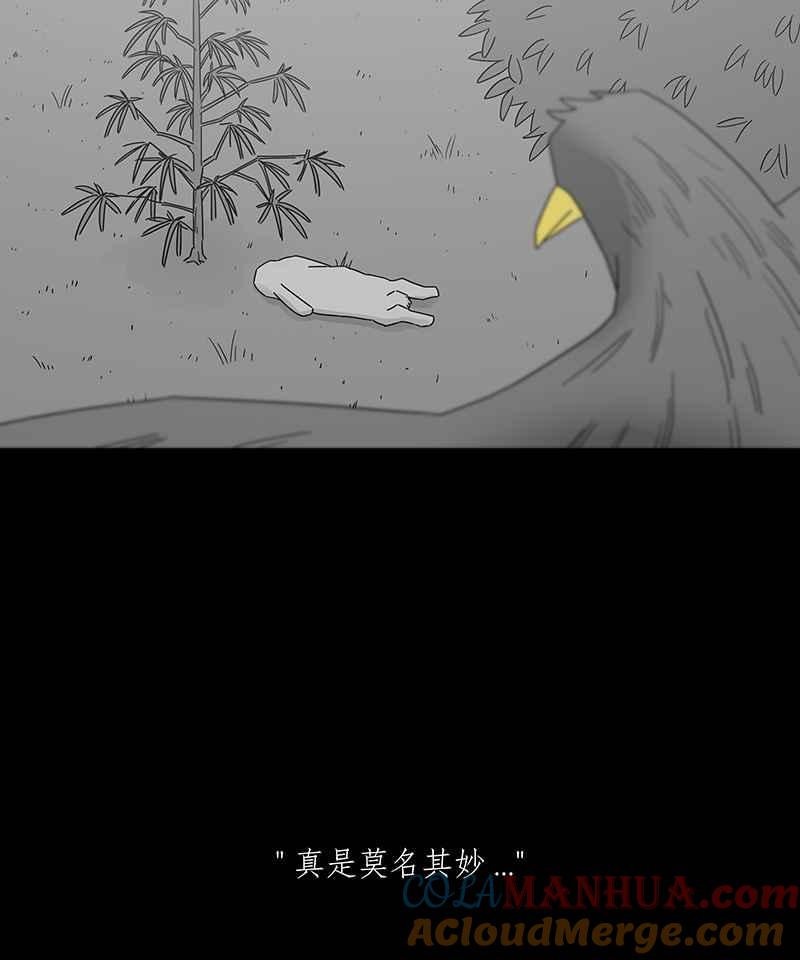 黑盒子 [第204话] 孤芳(1) 第21页