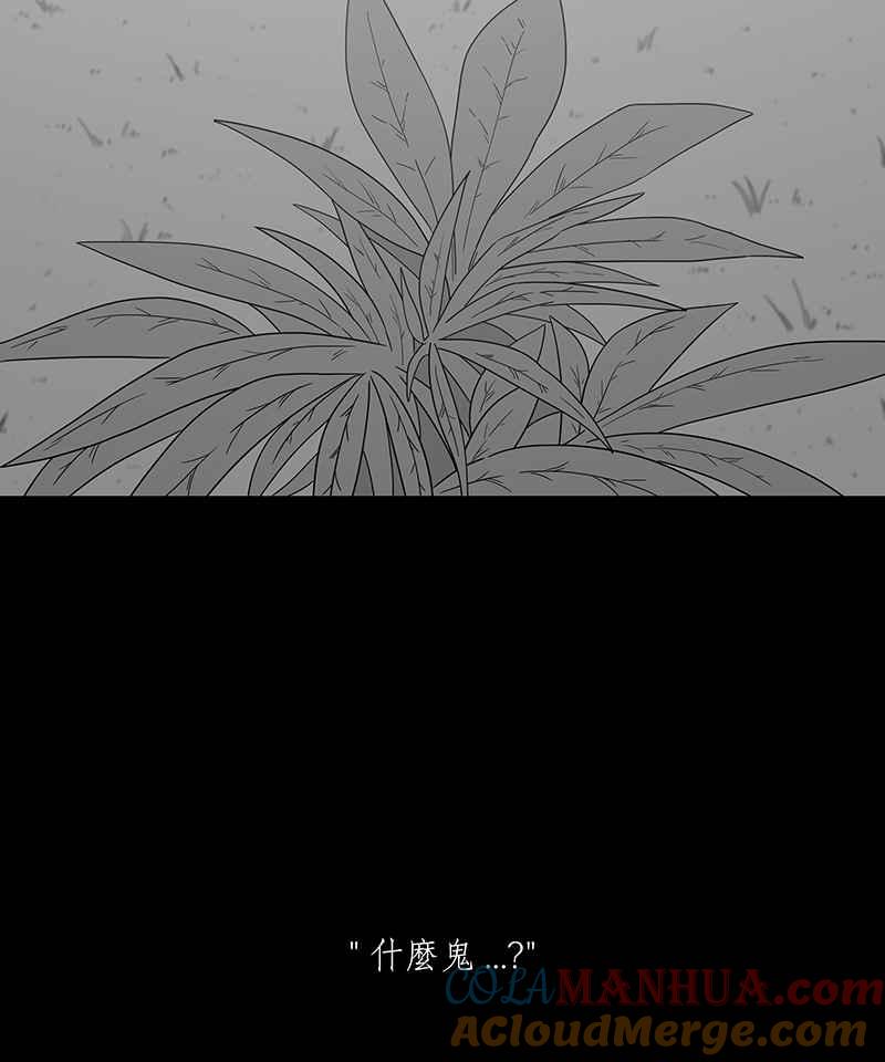 黑盒子 [第204话] 孤芳(1) 第19页