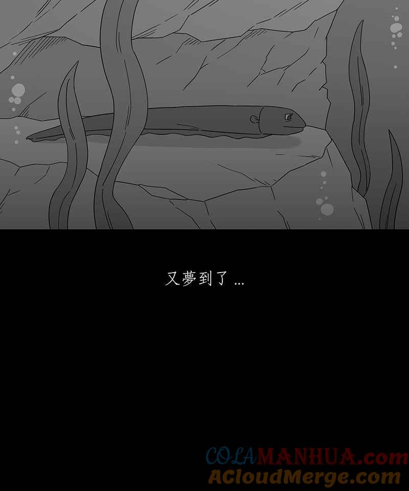 黑盒子 [第226话] 电缘(1) 第13页