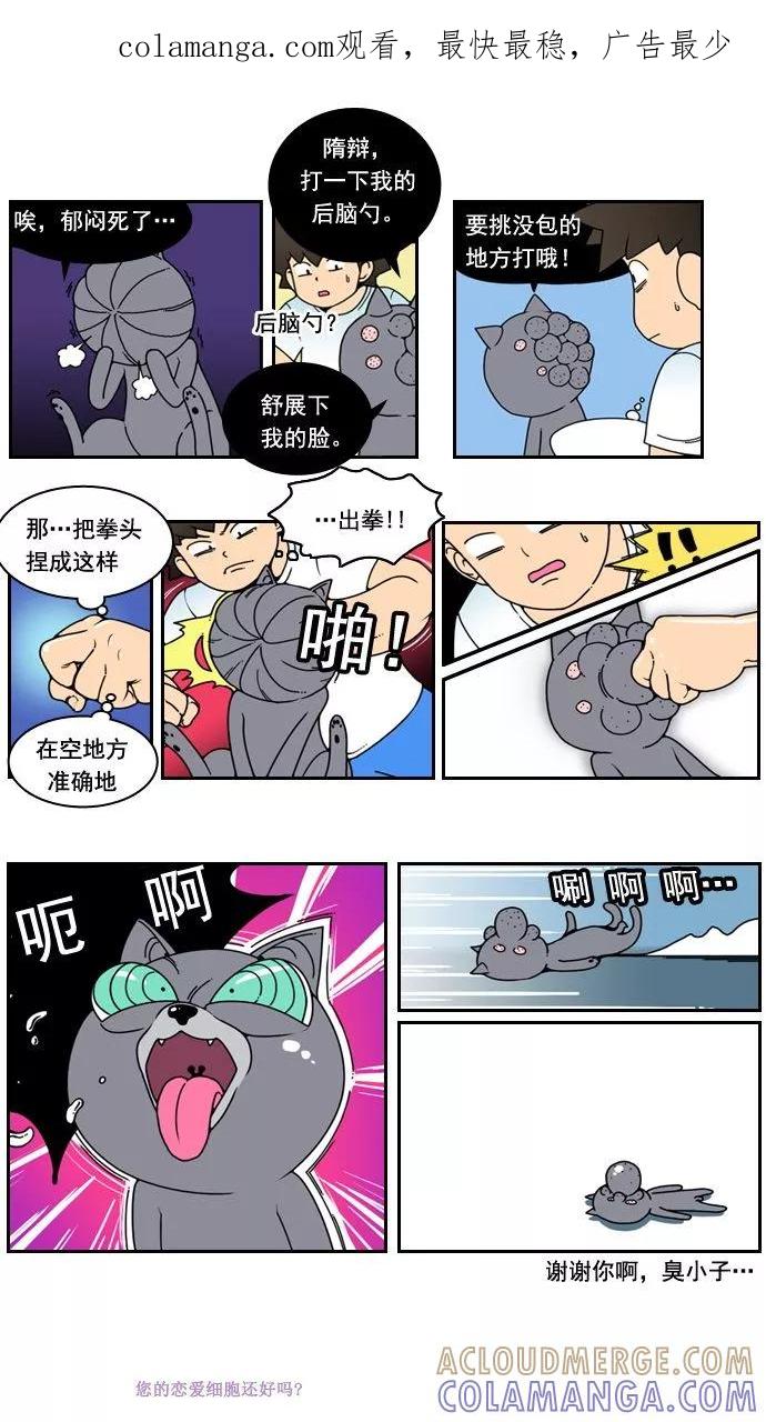 《恋爱细胞》第19话 第1页