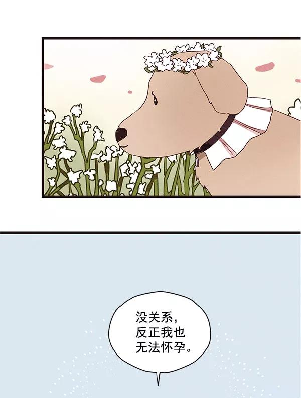 《愿与你共度余生》第33话 第17页