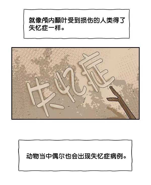 《愿与你共度余生》第33话 第54页