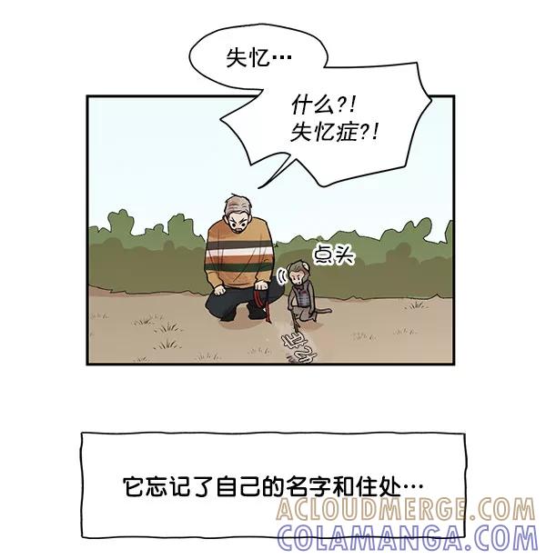 《愿与你共度余生》第33话 第52页
